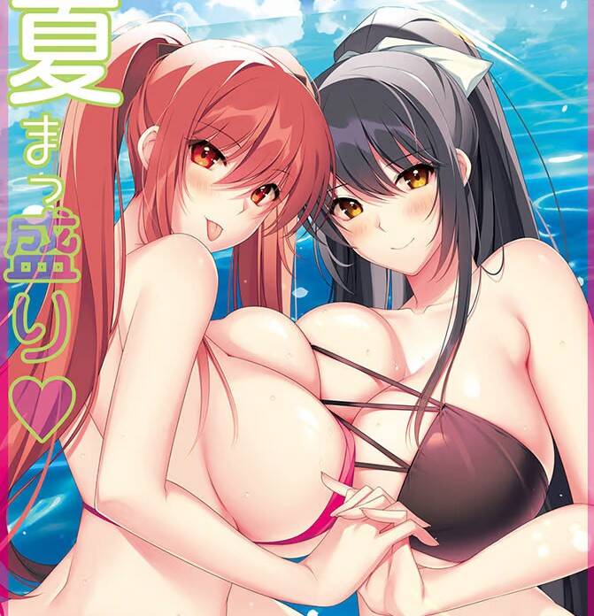 【PC / 汉化】畅享极致夏日-玖黎ACG