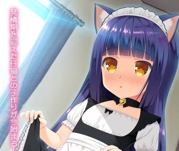 【PC / KR / 汉化】与小奶猫创造家族 / 仔猫と家族計画-玖黎ACG