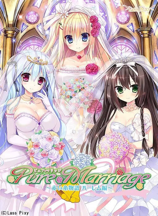 【PC / KR / 汉化】Pure Marriage ～红线物语～-玖黎ACG
