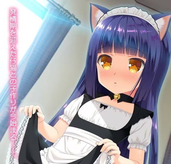 【PC / KR / 汉化】与小奶猫创造家族 / 仔猫と家族計画-玖黎ACG