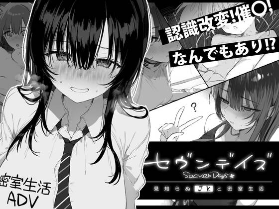 【PC / 安卓 / 汉化】七日与陌生JK的密室生活-玖黎ACG