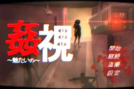 【PC / 安卓 / 汉化】奸视～我想吸引你 / 姦視～魅たいの～-玖黎ACG